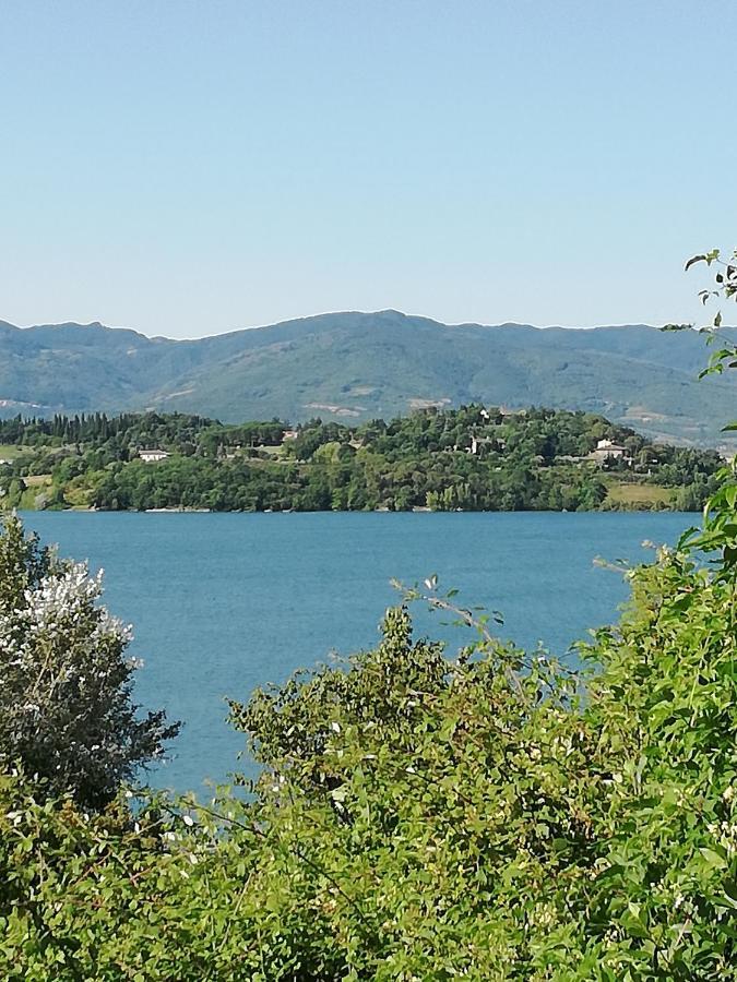 Il Lago Del Mugello B&B バルベリーノ・ディ・ムジェッロ エクステリア 写真